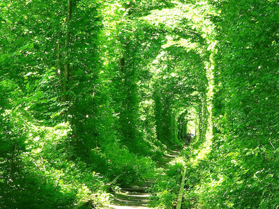 ウクライナ 愛のトンネルに男一人 しかも2回目 で冬に行ったら。