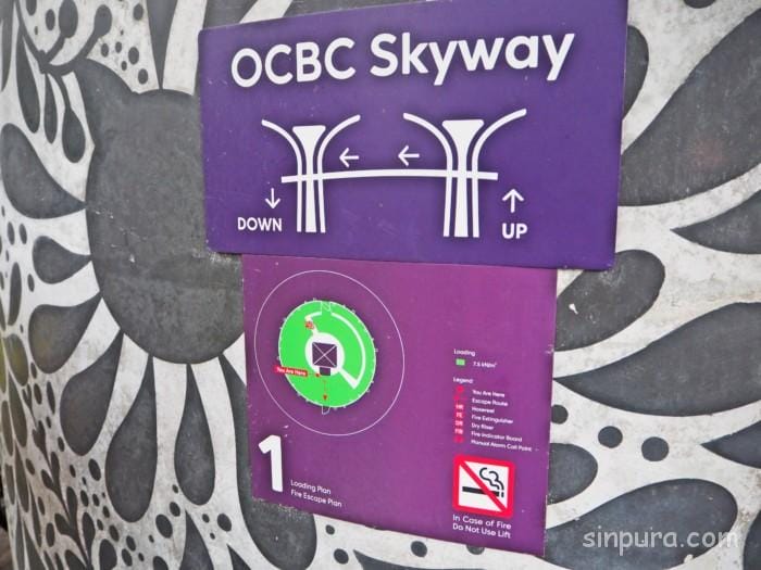 2025最新！シンガポール ガーデンズバイザベイの割引チケットや行き方は？ 見どころ・所要時間まとめ 楽天トラベル観光体験RakutenTravel