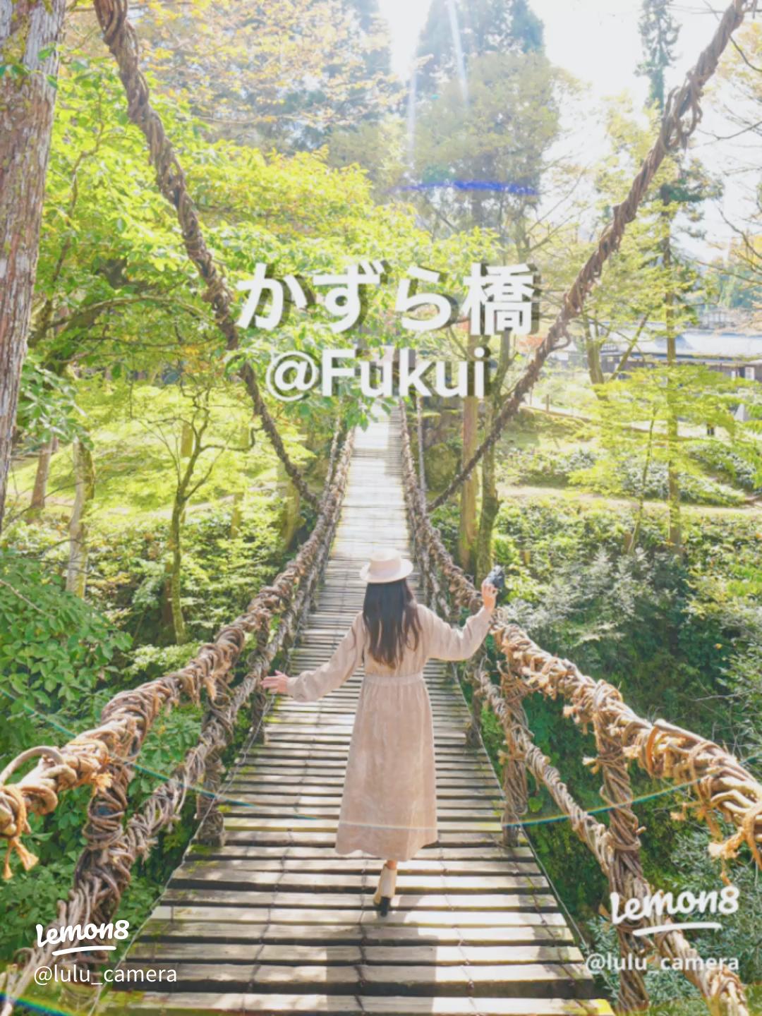 かずら橋 写真ダウンロード 公式