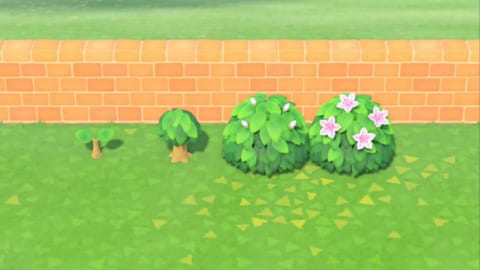 あつ森 低木の種類と開花時期一覧 あつまれどうぶつの森 ゲームエイト