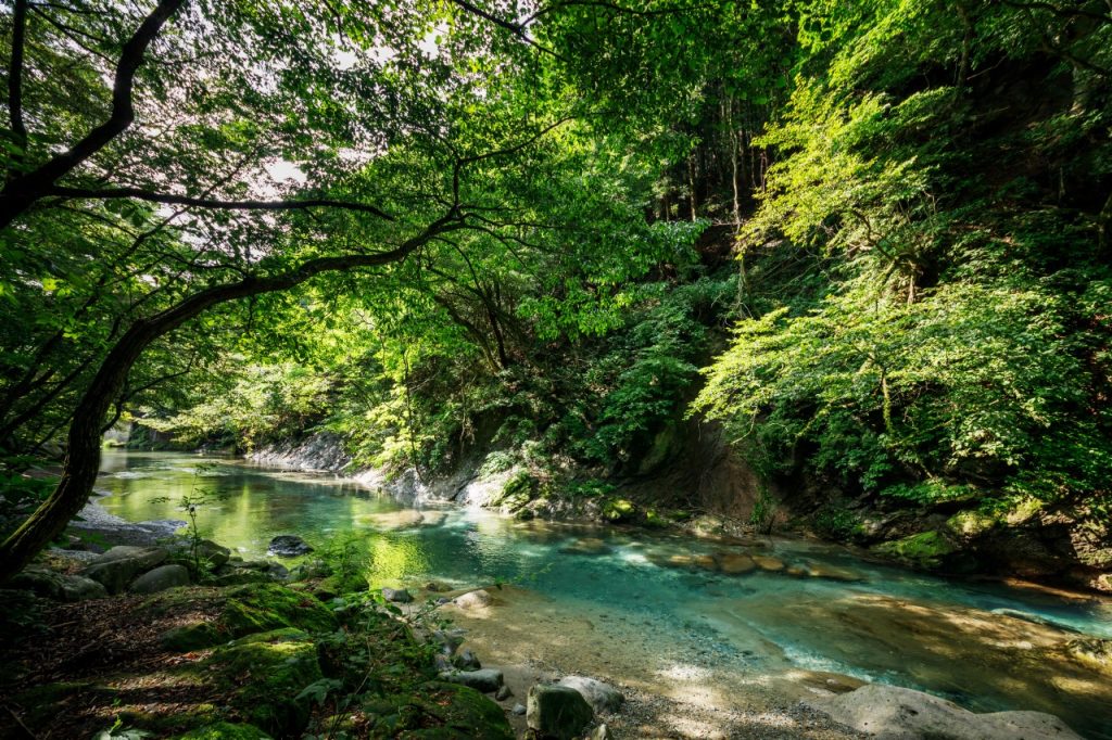 栃木 那須高原のおすすめ観光スポット20選！定番スポットから自然、温泉までたっぷり楽しもう♪TABI CHANNEL