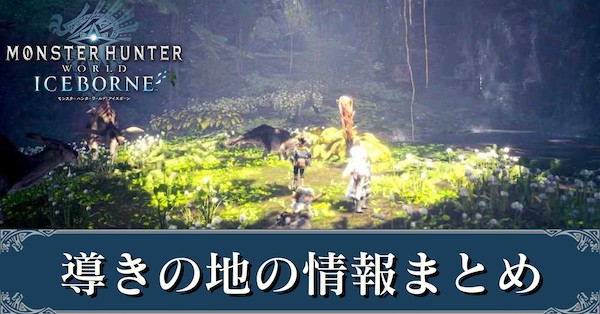 MHWアイスボーン 導きの地レベル上げ 地帯レベル のやり方