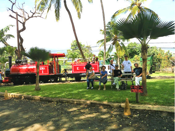 線路を探そう！パシフィックリゾートのホロホロ ハワイ カワラ版