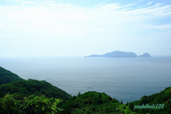 2025年 南阿波サンライン - 出発前に知っておくべきことすべて