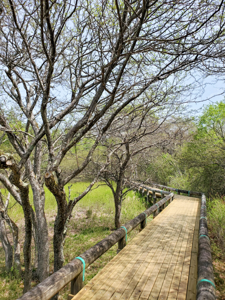 栃木・宇都宮ドライブスポットおすすめ20選！餃子以外にも魅力いっぱい - じゃらんレンタカードライブガイド