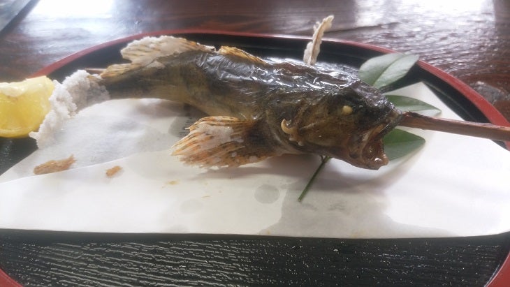 アラレガコ」が 教えてくれることSERIESFlyFisher ONLINE フライフィッシング専門誌フライフィッシャー オフィシャルサイト