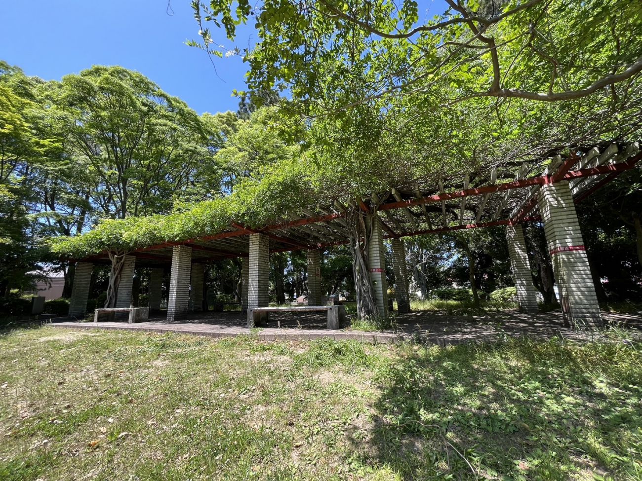 12 5午後撮影📷✨ 津城