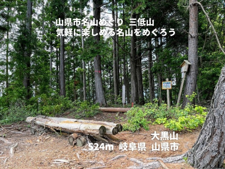 山県市 大黒山 499m