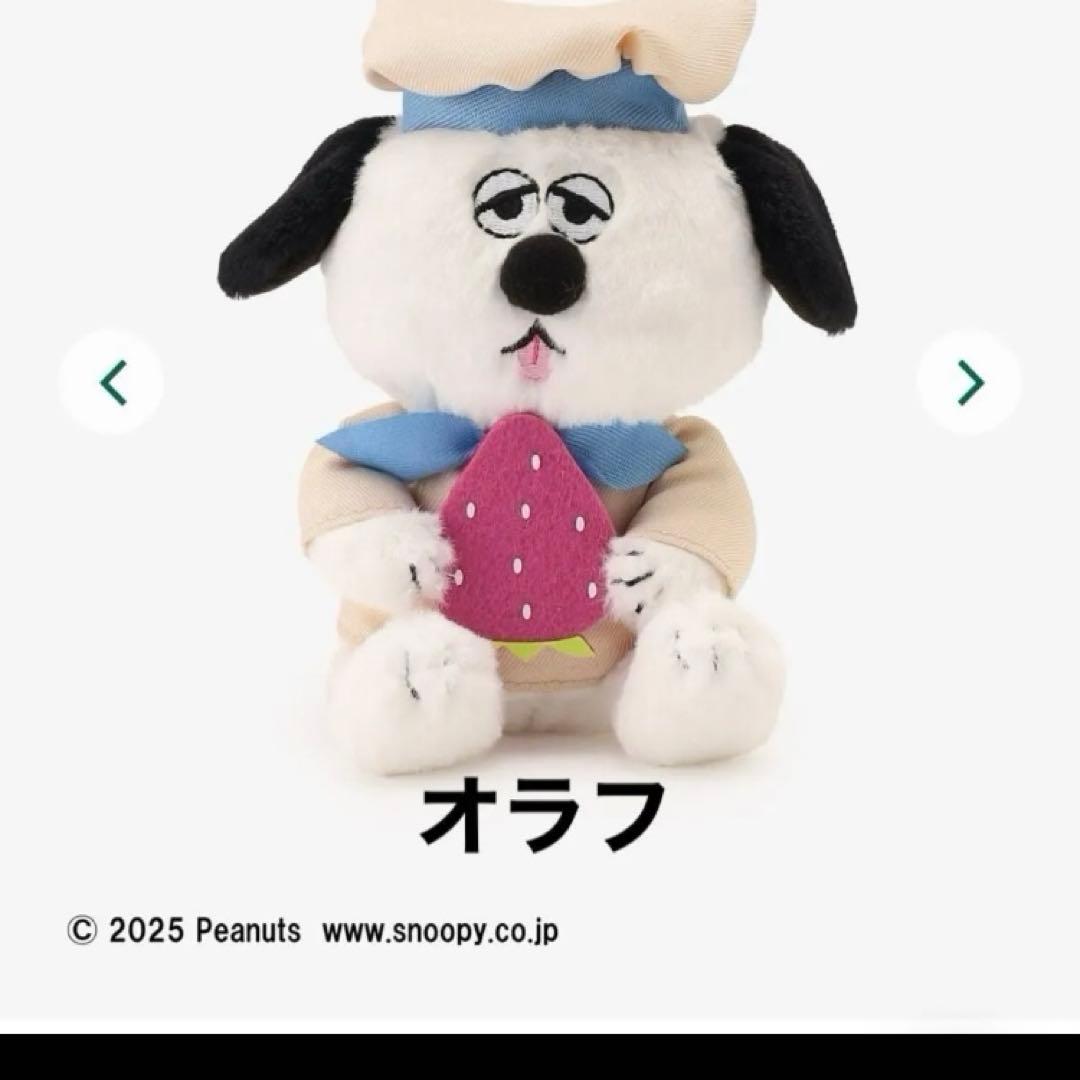 ウッドストックには, 7人のお仲間がいて, 仲間の1人が紫🟣色。名前は, 「レイモンド」 詳しいでしょ