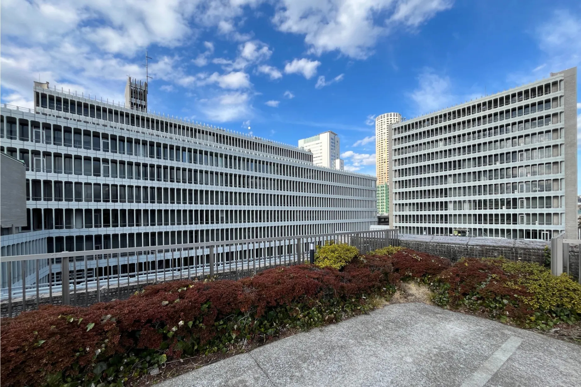 中目黒駅周辺の街並みを現地調査！お花見＆おすすめスポットをご