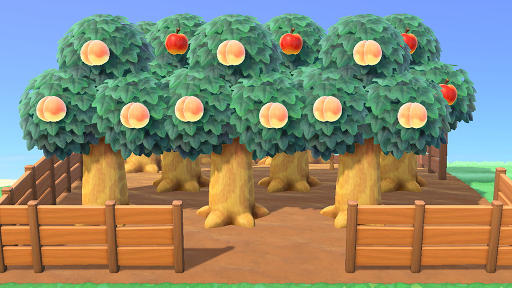 あつ森 小さな果樹園と海が見えるテラスのあるお家House with small orchard