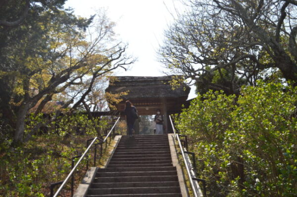 雲頂菴 御朱印 -