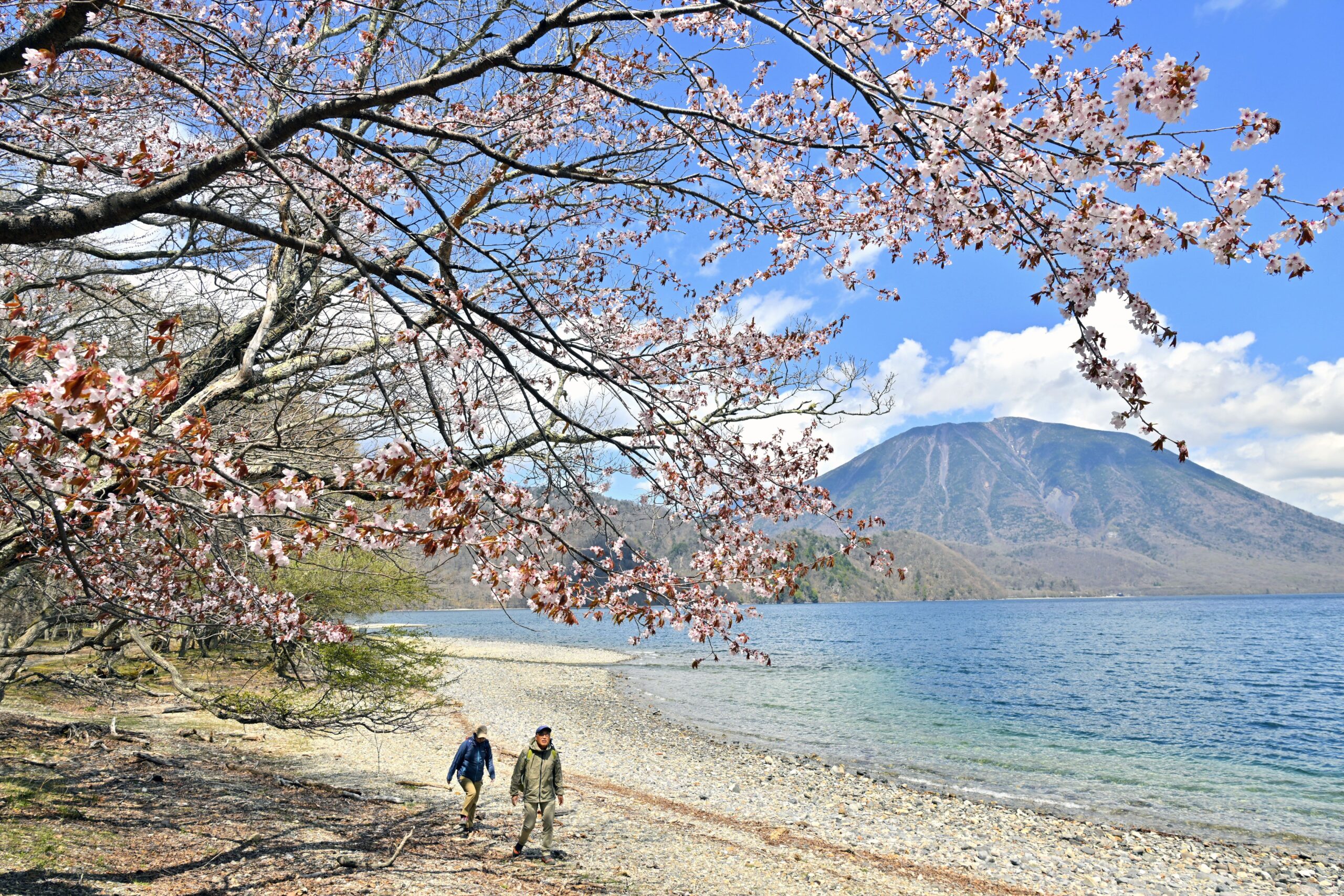 中禅寺湖千手ヶ浜に行った 小田代原経由おでかけポコ そこ実際どうだったか？体験口コミレポ