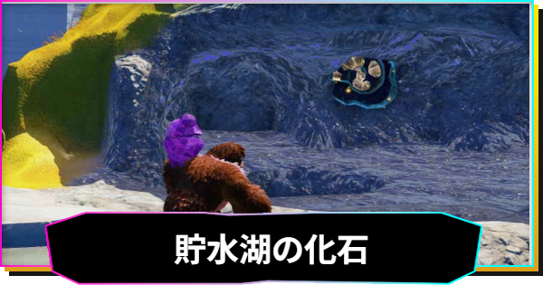 ドンキーコングバナンザ 貯水湖の階層の遺跡チャレンジ一覧 -