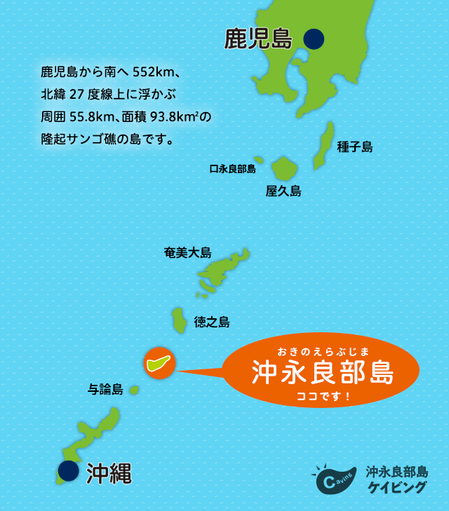 奄美大島は何県のどこにある？所在地とアクセス方法を詳しく解説奄美ツアーズ