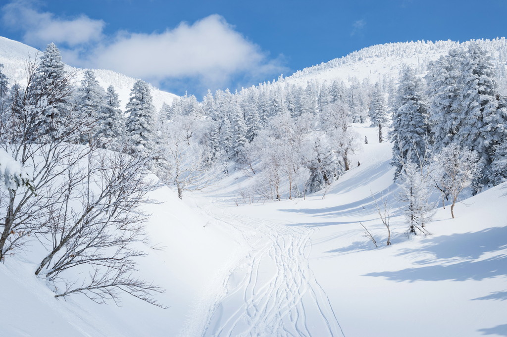 スクラッチゲームの「スイカゲーム 」