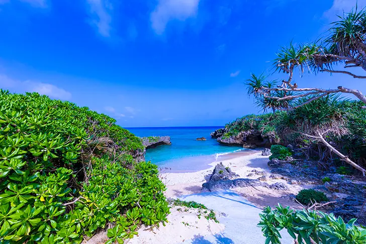 Unsplashの200+最高の無料ビーチ写真