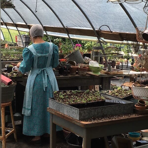 アーミッシュのお宅を訪ねて。彼らの現在の暮らし方とはgreenz.jp グリーンズ