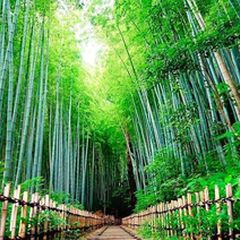 武家屋敷＆ひよどり坂西野圭果♡