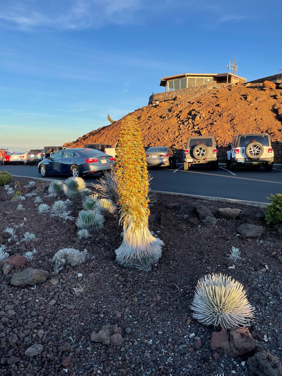 アウトリガー カアナパリ ビーチ リゾート
