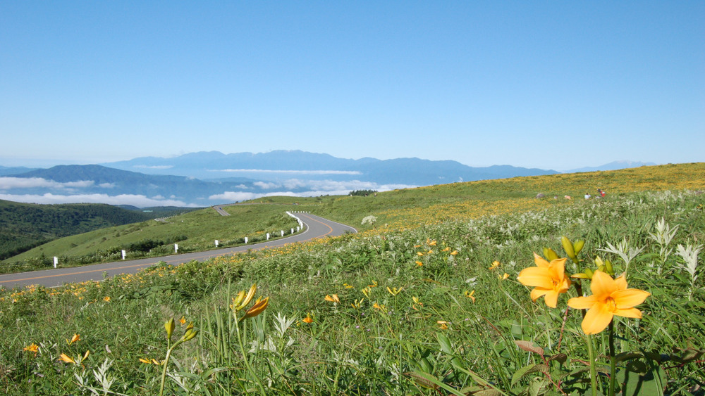夏でも20℃以下！高原にあるおすすめキャンプ場15選 長野県– ガルビィプラス