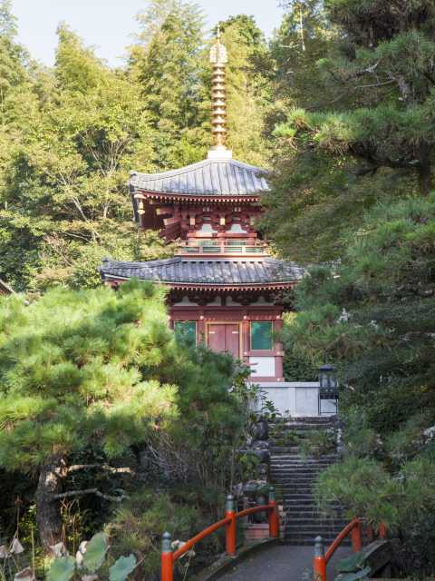 奈良県桜井市 大神神社へ参拝・御祈祷に行ってきました