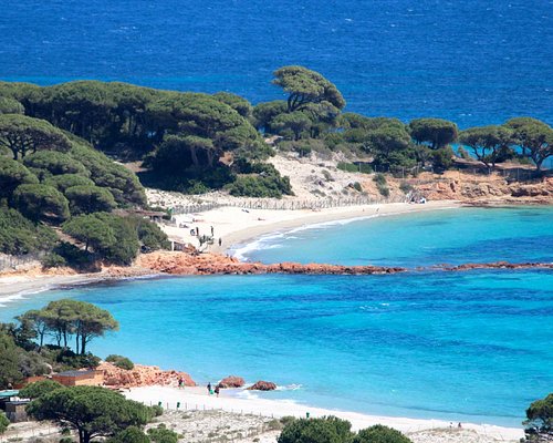 ポルト湾 チケット＆ツアーゲットユアガイドGetYourGuide