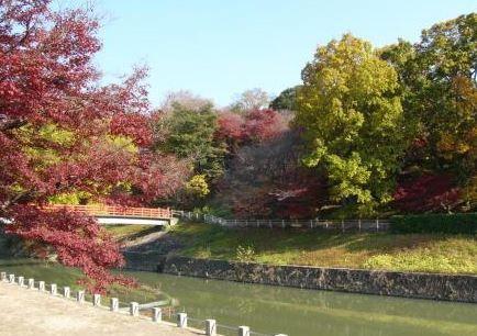 もみぢ葉は竜田の川の錦なりけり～紅葉の名所・竜田公園 - kumakuma blog