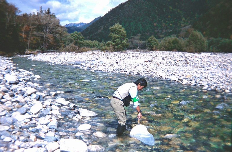上高地 梓川左岸道Kamikochi, Azusagawa