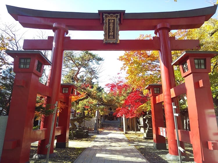 札幌弥彦神社 - 北海道神宮結婚式 神社結婚式 札幌