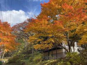 妙義山への柴犬 豆柴含む を連れてのお出かけに関する口コミ犬連れお出かけ口コミサイト「ワンちゃんと」