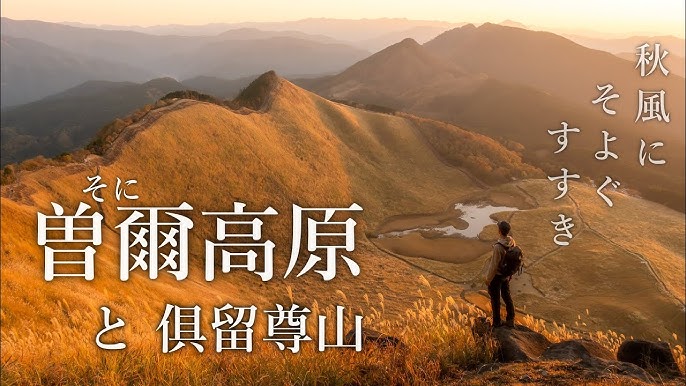 ススキ、タカノハススキ、パンパスグラス : 当尾