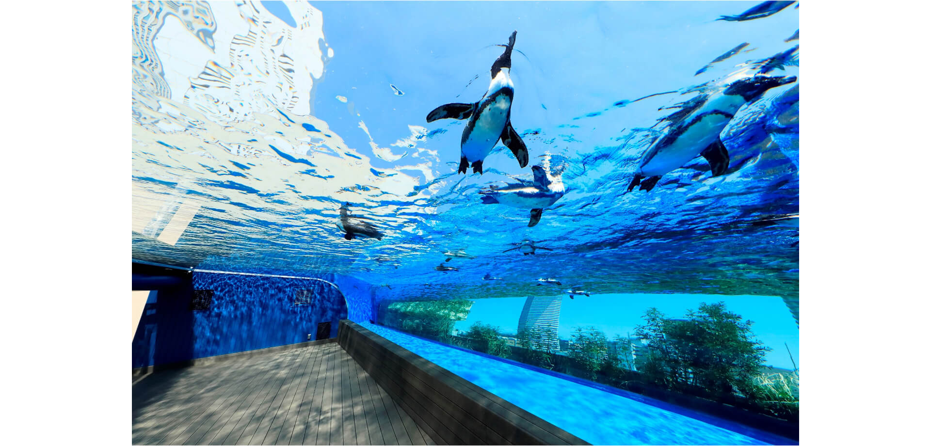 池袋「サンシャイン60展望台 てんぼうパーク」が銀世界に変身 屋内で冬の自然を満喫いこーよニュース