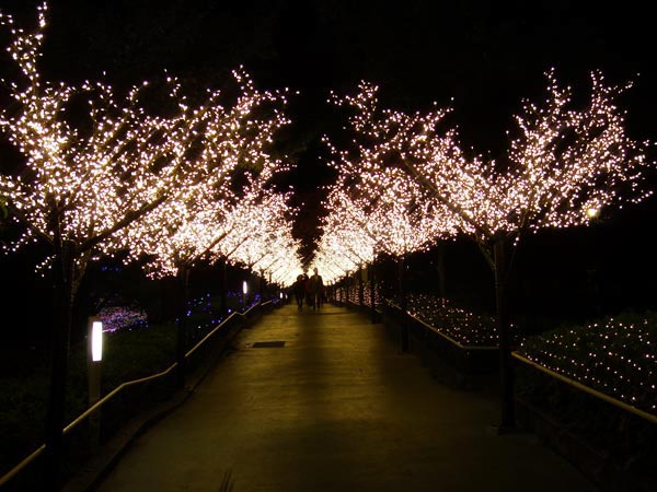西武園ゆうえんち「夕日の街灯りイルミネーション」“浮遊する光の玉”など温かな光に包まれるイベント - ファッションプレス