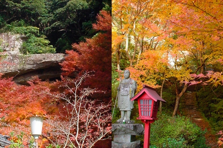 福岡 長居できるカフェTikTok