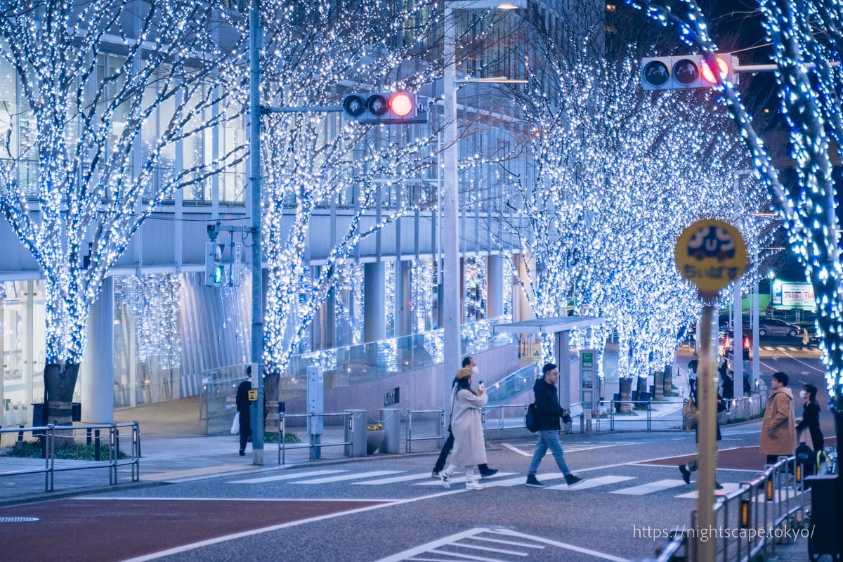 六本木ヒルズけやき坂イルミネーション2024 平日・休日別混雑情報！期間や点灯時間、場所、撮影スポット、アクセス、駐車場、口コミまで徹底解説！お祭り・イベンお祭り・イベント情報まとめサイト 祭り部