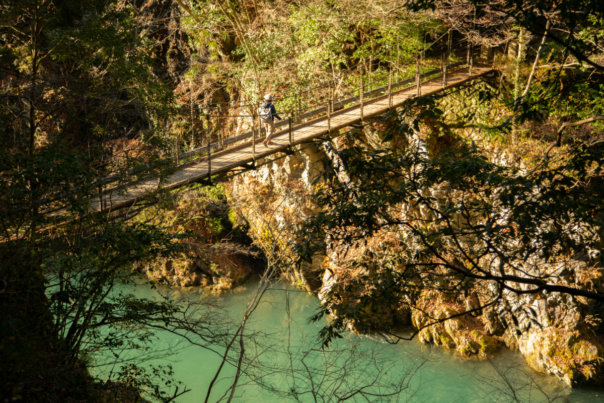 氷川渓谷の紅葉2020。吊り橋「氷川小橋」からの絶景こいたま