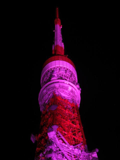 ピンクリボン 東京都庁 ピンクライトアップを10月18日まで点灯！夜景FANマガジン
