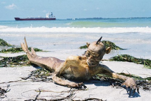 人魚の死体が漂着 イギリスの海岸！！！ゆう太郎のブログ