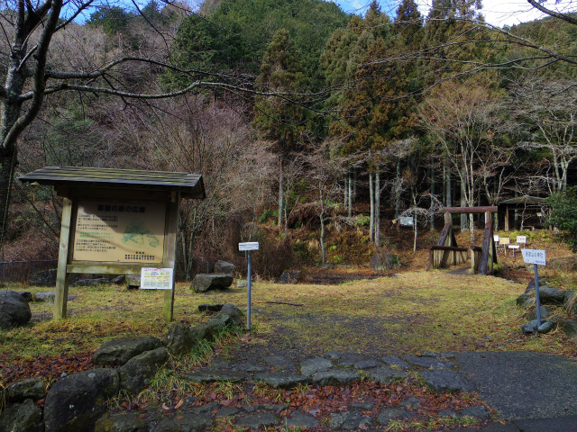 くずはの広場：街中に突然現れるオアシス空間♪川遊び、野鳥や虫、草花の自然観察を手軽に楽しめ、初夏にはホタルも！小さい子も安心の超穴場スポットです 秦野市湘南エリア横浜・湘南で子供と遊ぶ -