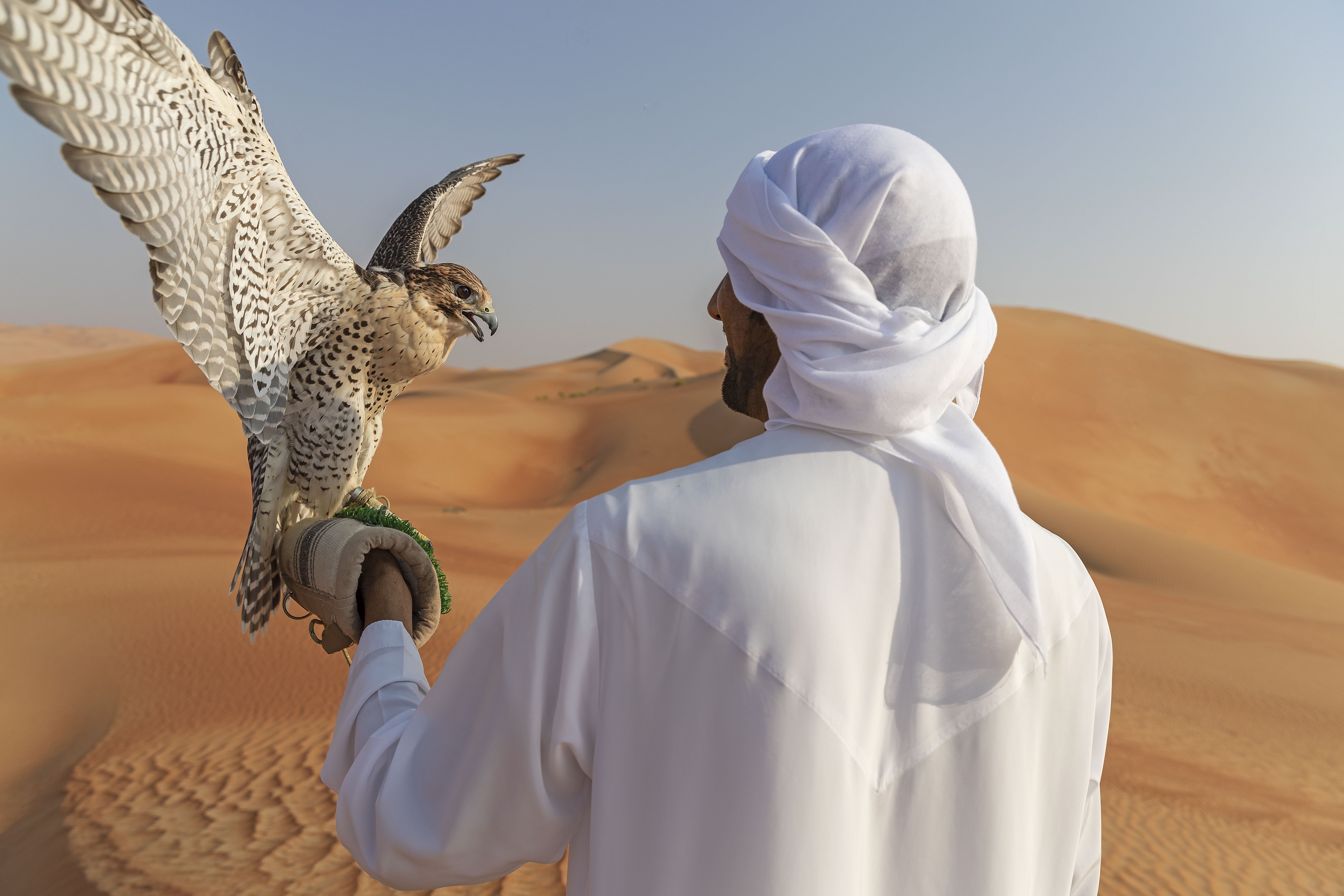 アブダビ砂漠サファリツアーで贅沢な朝のデザート体験を楽しもう！funBooky