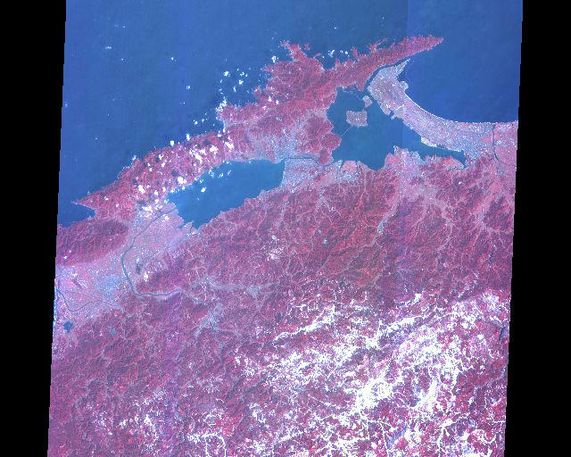 国連事務総長、ウクライナのダム破壊は「戦争が与える恐ろしい代償」：朝日新聞