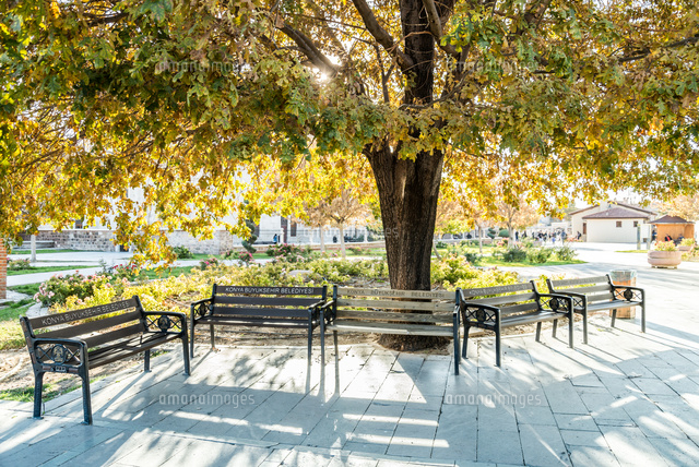 綺麗な紅葉にカラフルなベンチ🍁💺 座って撮れば良かったと後悔😵 ベルギー ベルギー旅行 海外旅行