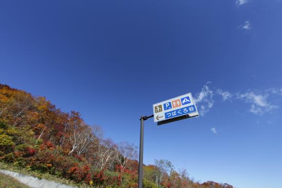 2025年 不動沢橋つばくろ谷 - 出発前に知っておくべきことすべて