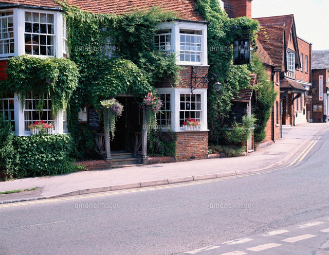 北欧の街がレンガ造りから木造にシフト中の理由。海藻・ススキ・ワラもサステナブルな新建材として再注目