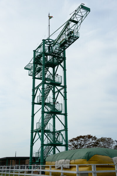 千葉 マザー牧場 バンジージャンプ: 小さな旅