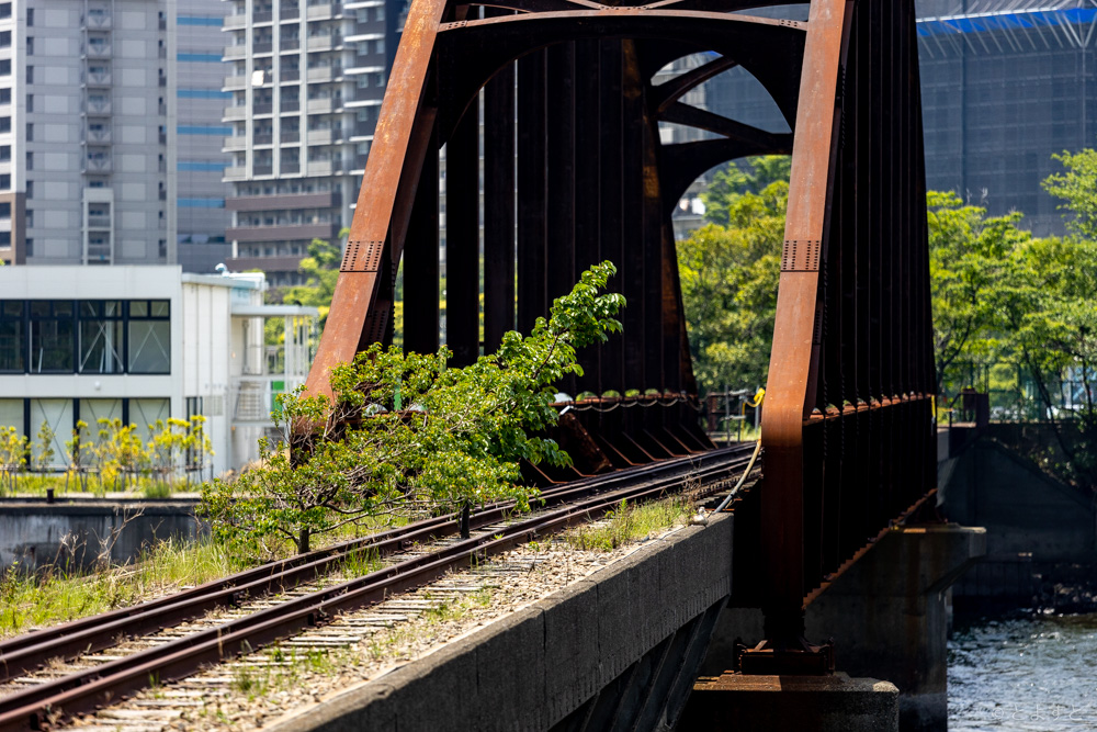 もうすぐ完成「旧晴海鉄道橋」工事のいま 東京都港湾局専用線の名残、一般開放いつ鉄道ニュース 鉄道プレスネット