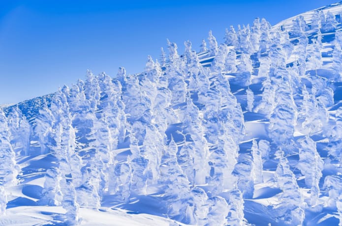 仙台ロイヤルパークホテルの冬のイルミネーション撮影スポット