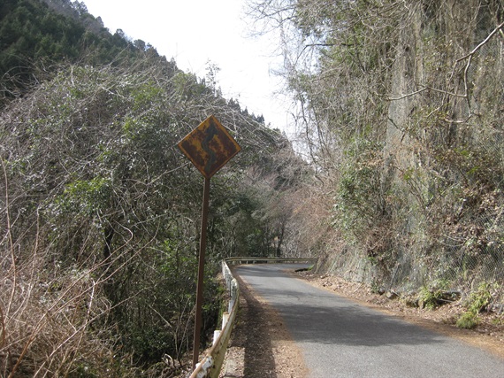 涼絶景 鏡の湖面に映りこむ深緑！神秘の湖「室生湖」を巡るドライブルートウォーカープラス