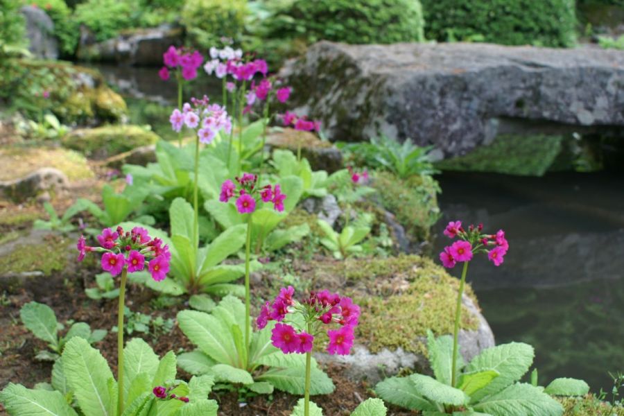 二子玉川・玉川高島屋のカフェフーケカレー専門店 アッチャカーナ